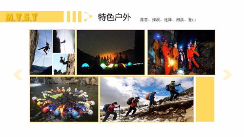 上海拓展训练 从团队熔炼到管理智慧的赋能之旅